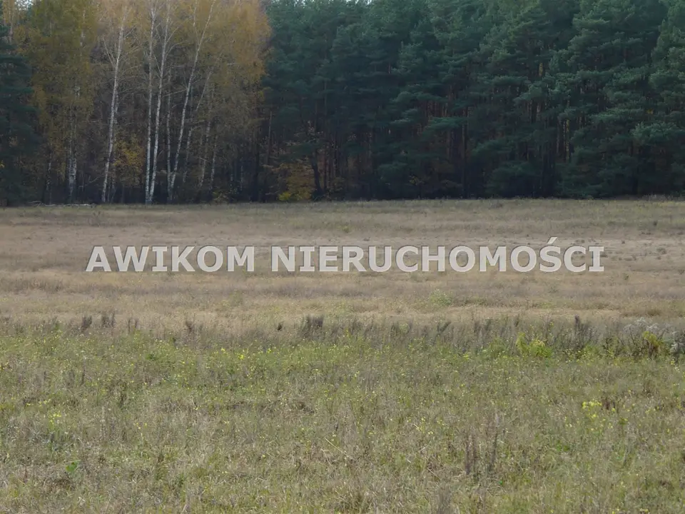 Zdjęcie 2