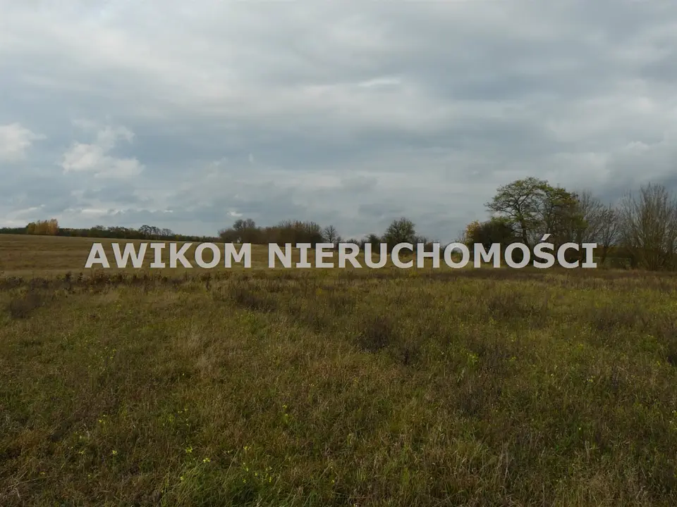 Zdjęcie 3