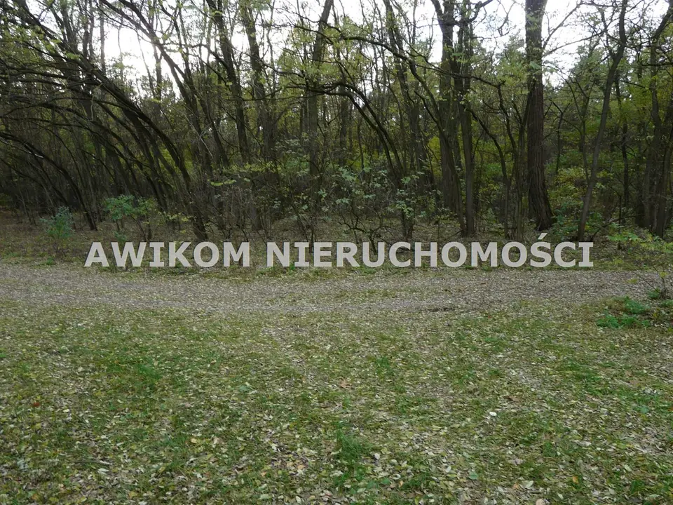 Zdjęcie 4