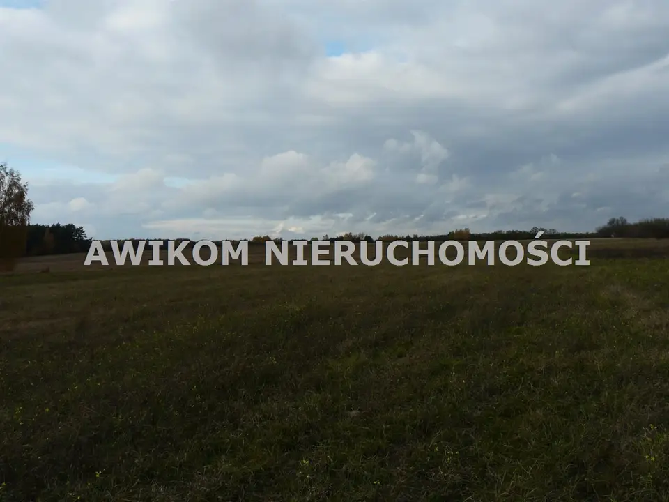 Zdjęcie 5