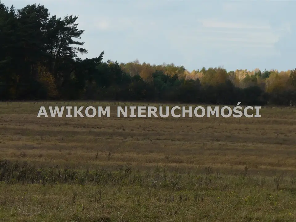 Zdjęcie 6