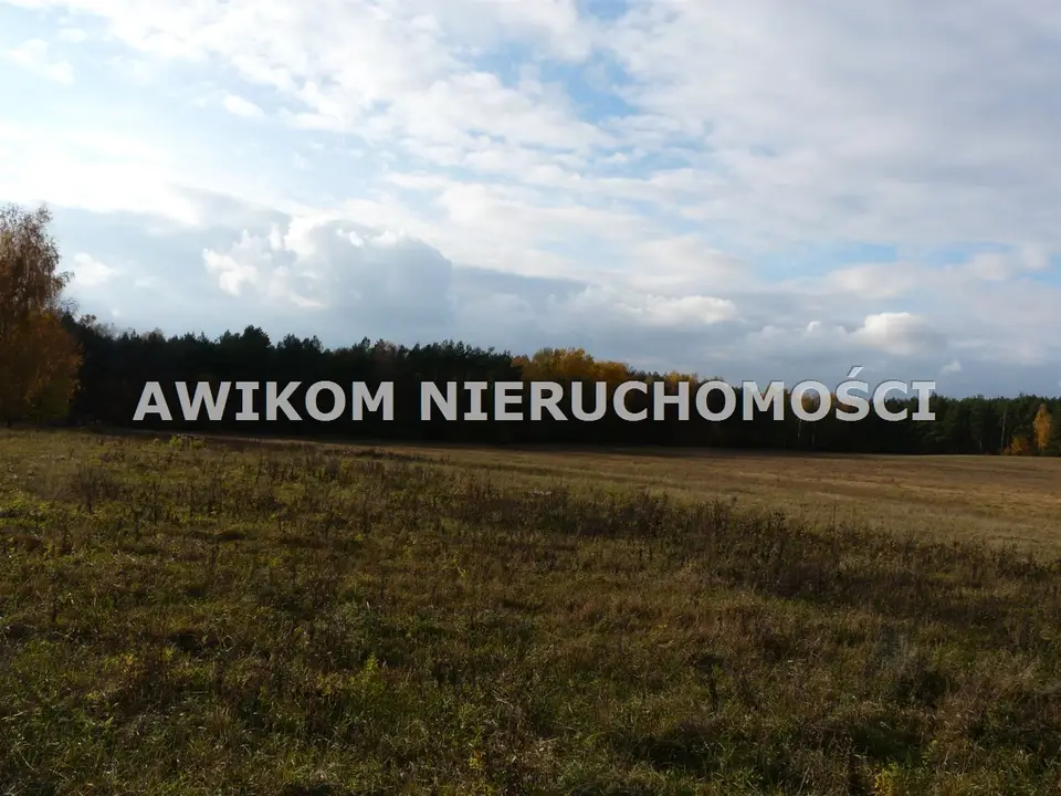 Zdjęcie 7
