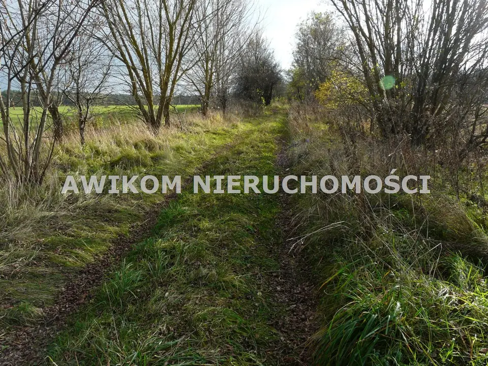 Zdjęcie 10