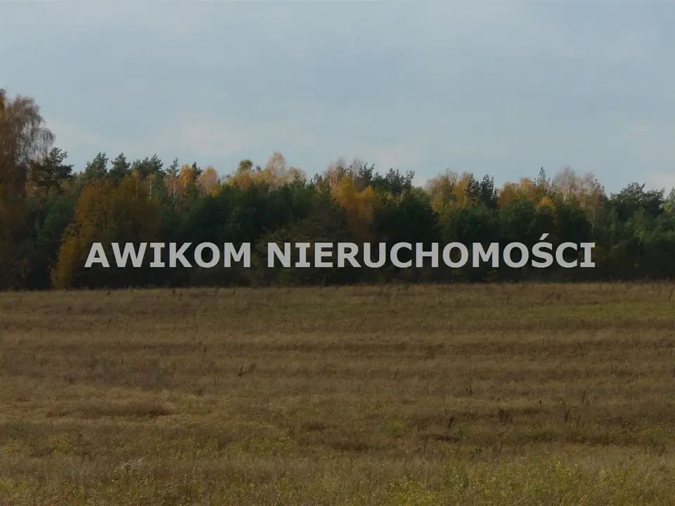 Zdjęcie 11