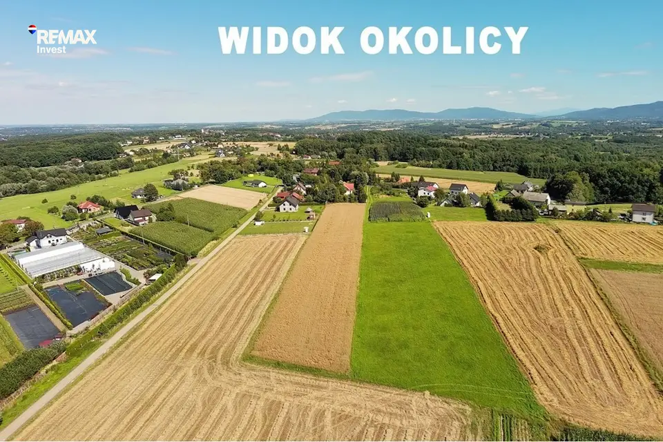 Zdjęcie 20