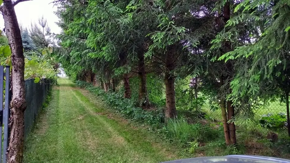 Zdjęcie 9