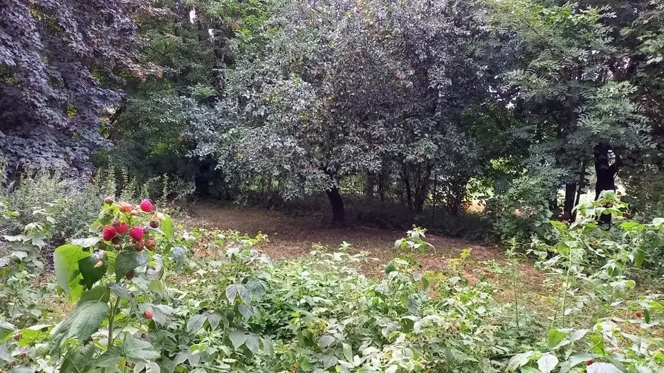 Zdjęcie 11