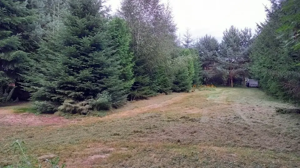 Zdjęcie 14