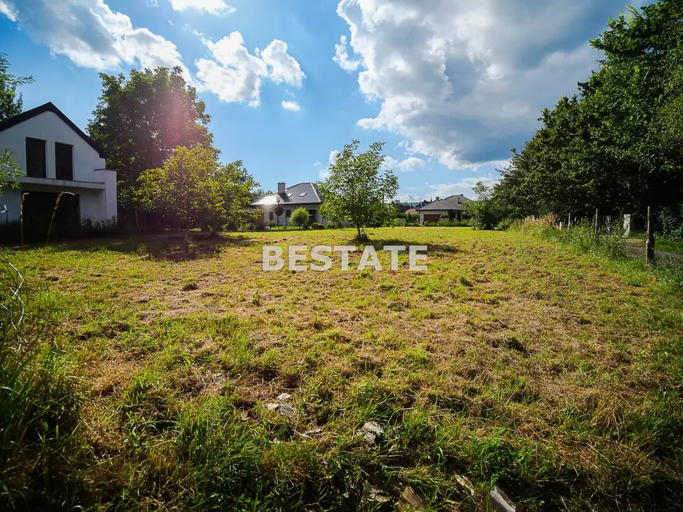 Zdjęcie 3
