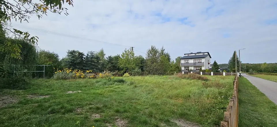 Zdjęcie 8