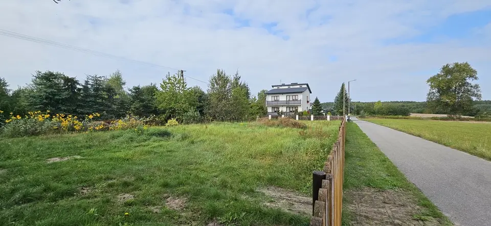 Zdjęcie 9