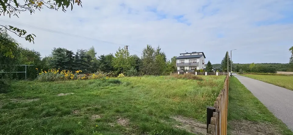 Zdjęcie 10