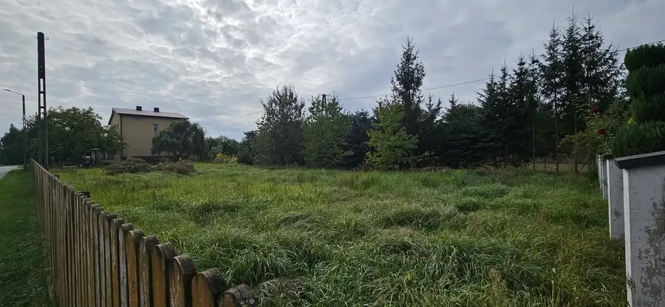 Zdjęcie 11