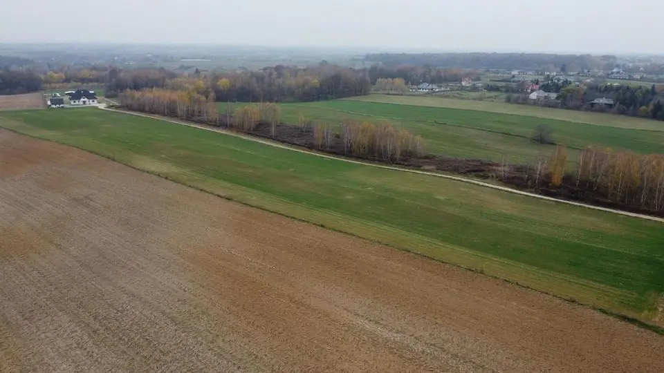 Zdjęcie 5