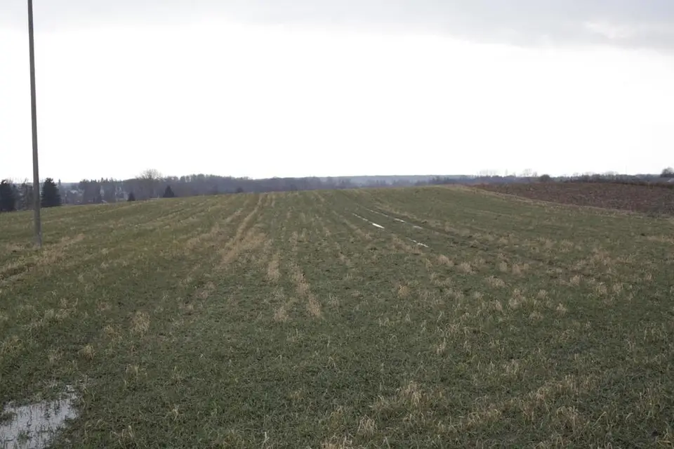 Działka budowlana 2 200 m², Tomaszowice