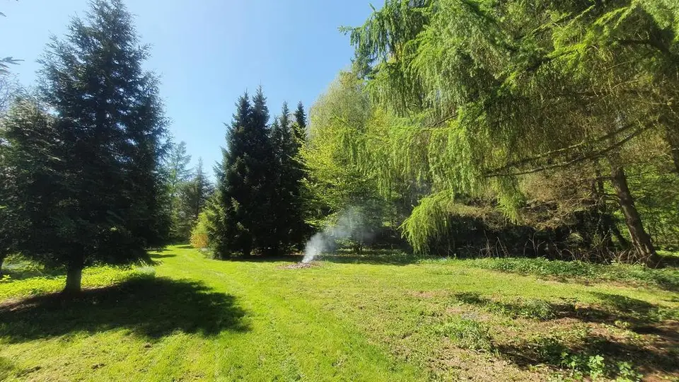 Zdjęcie 6