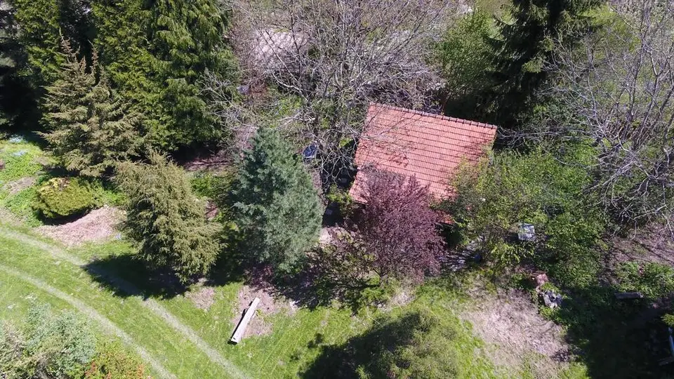 Zdjęcie 17