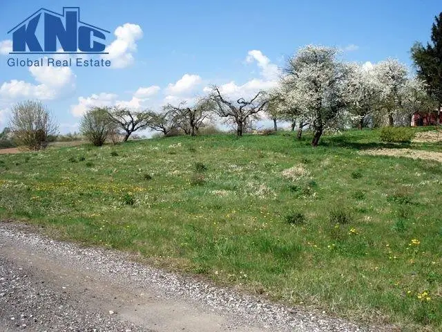 Zdjęcie 2