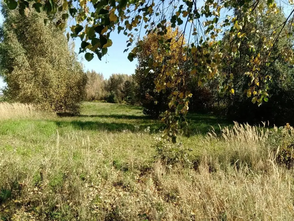 Działka budowlana 2 000 m², Piotrowice