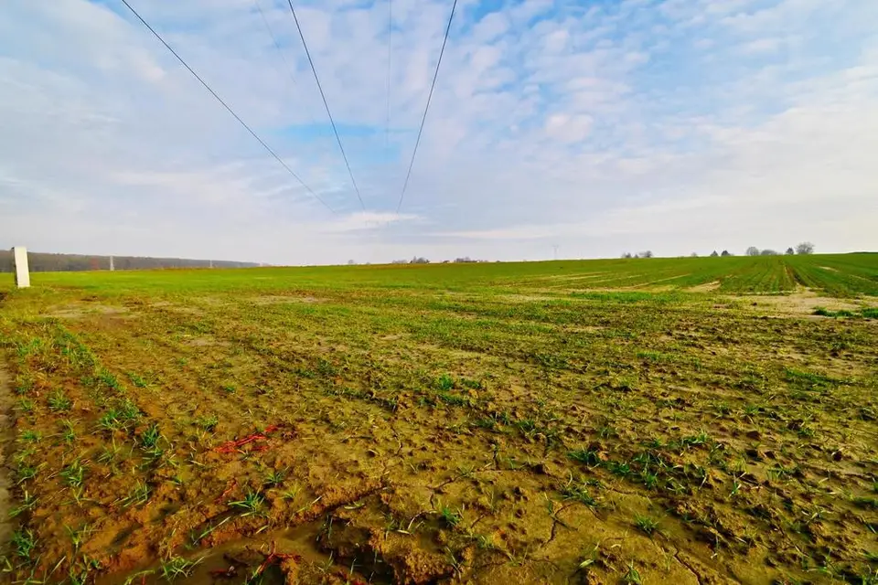 Działka budowlana 1 400 m², Zemborzyce Podleśne