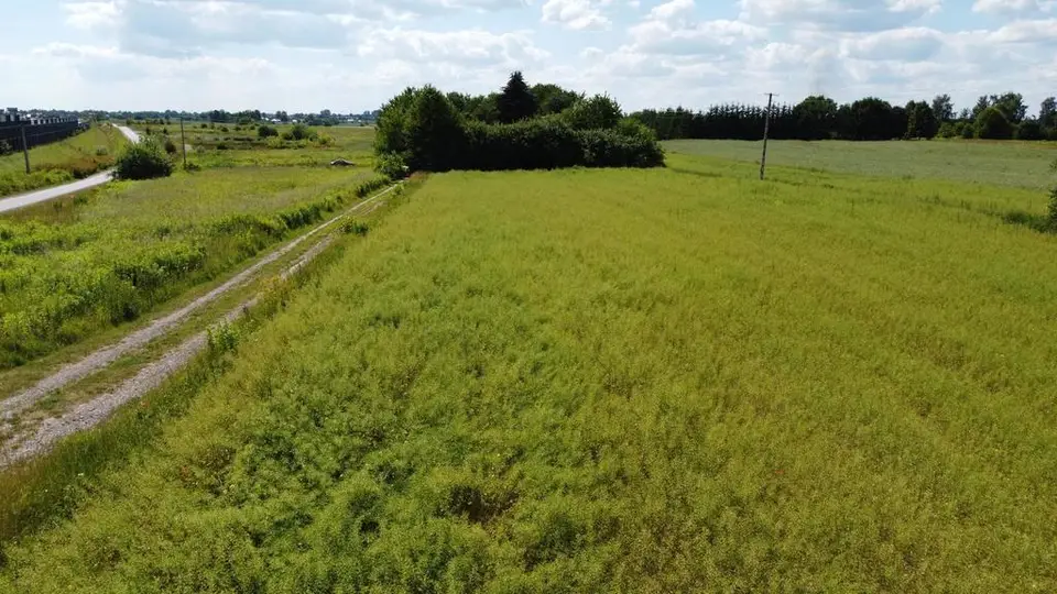 Działka rolna 7 437 m², Snopków