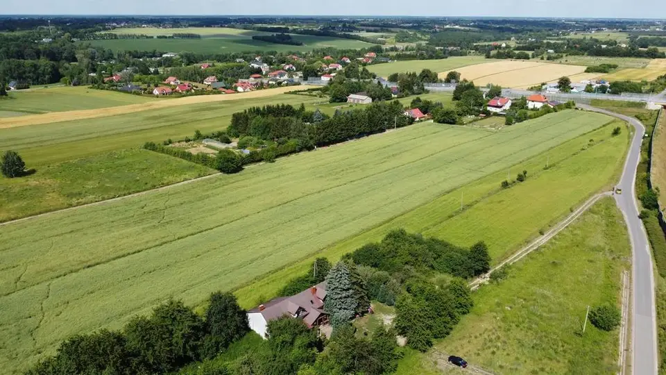 Zdjęcie 5