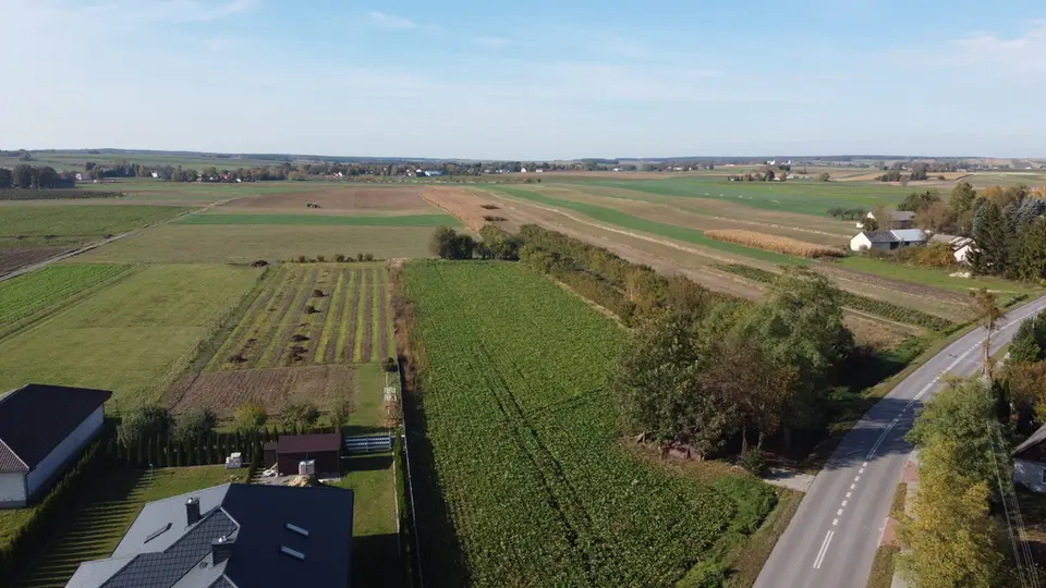 Działka budowlana 4 281 m², Krasnystaw
