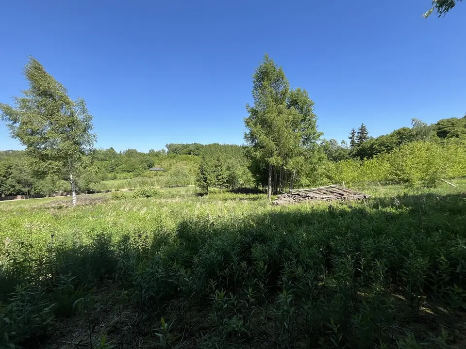 Zdjęcie 10