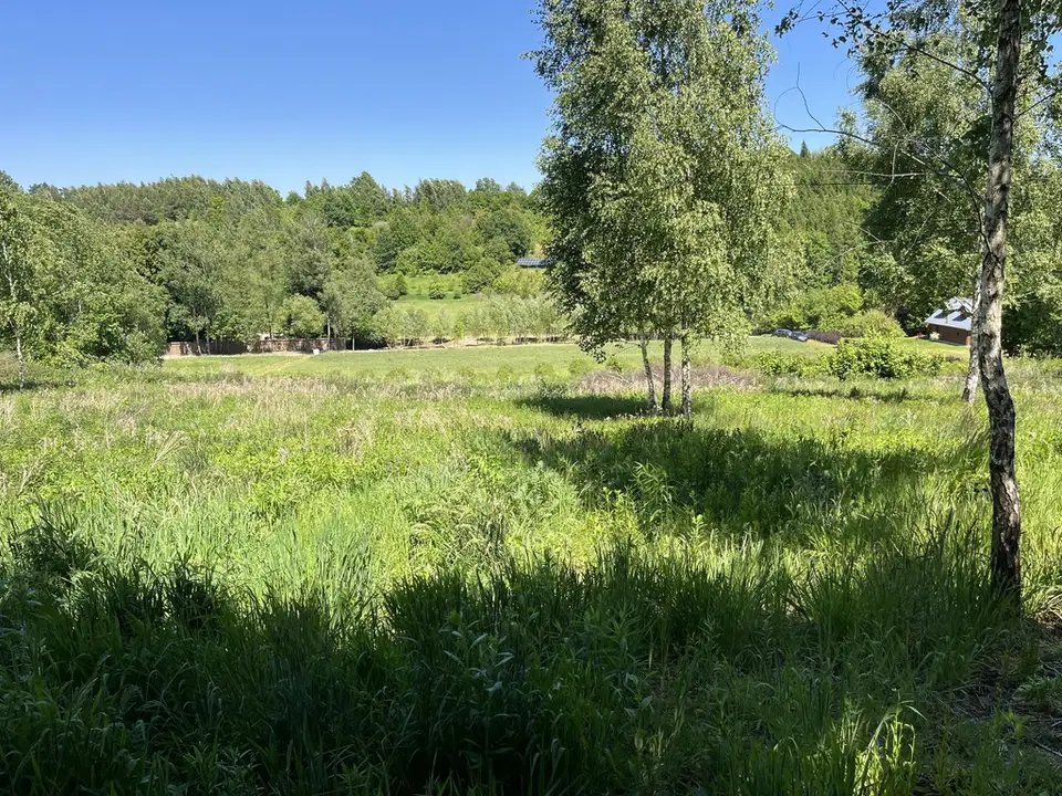 Zdjęcie 12