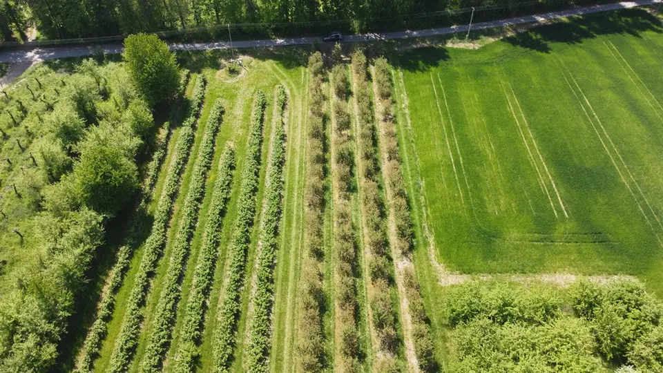 Działka budowlana 8 700 m², Kamień-Kolonia