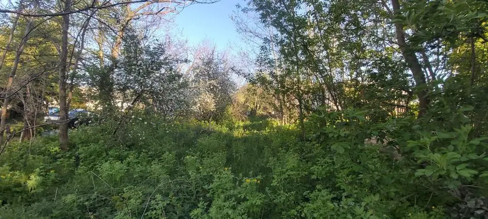 Zdjęcie 2