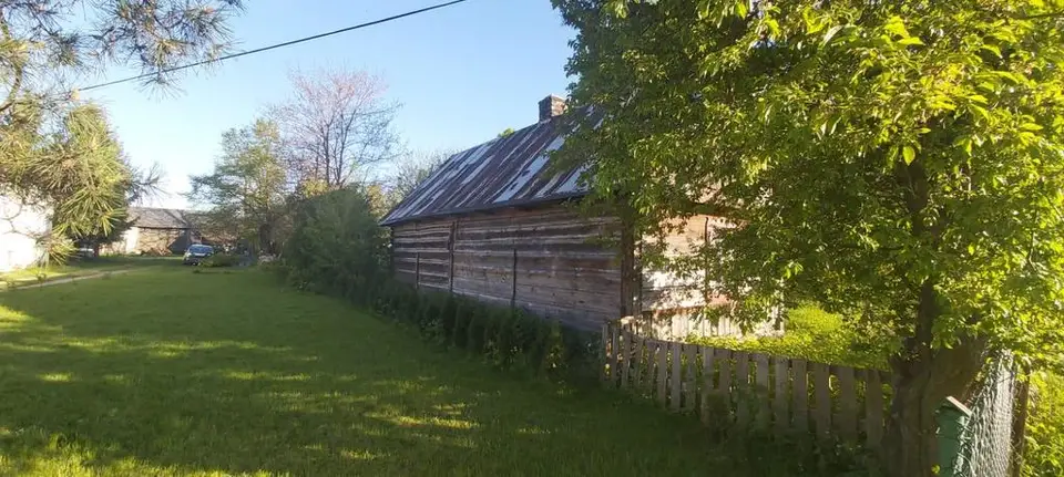Zdjęcie 3