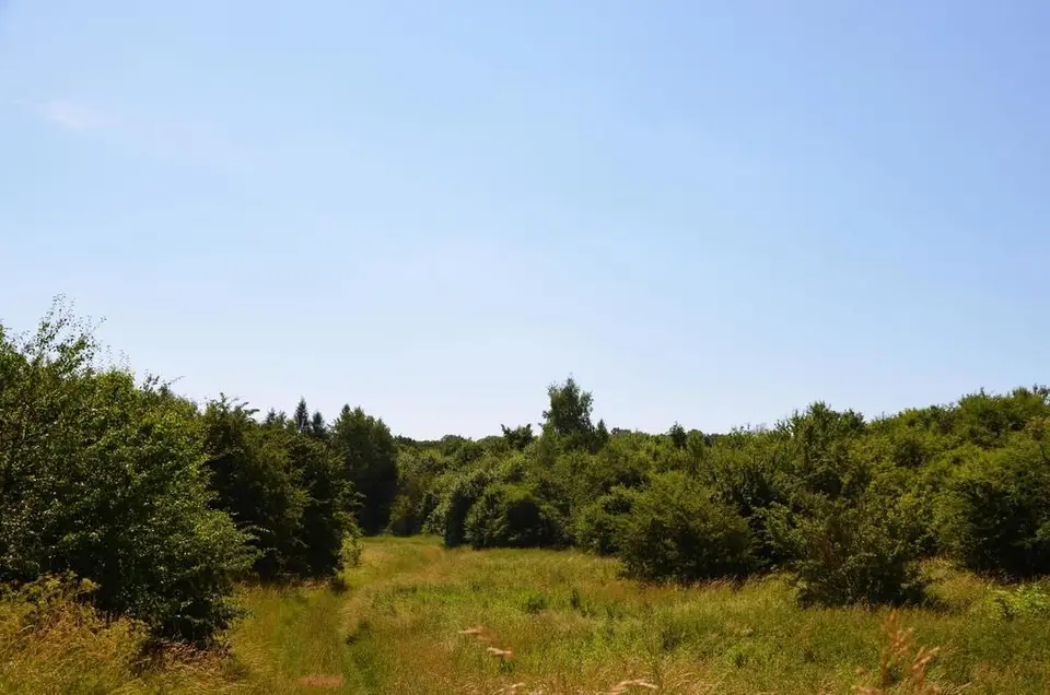 Zdjęcie 10