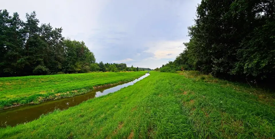 Zdjęcie 5