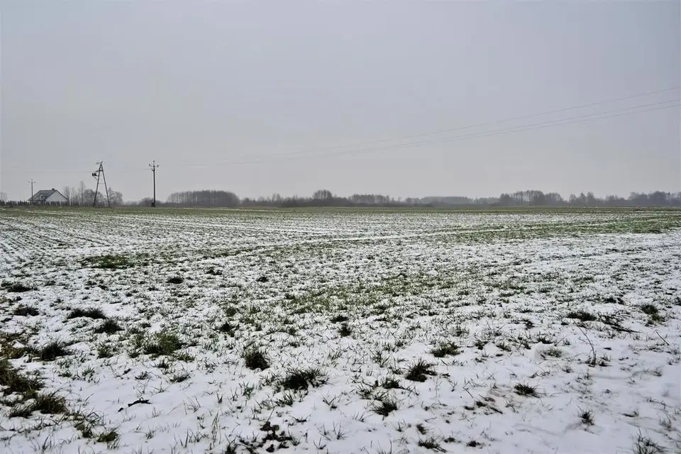 Działka inwestycyjna 7 500 m², Ludwin