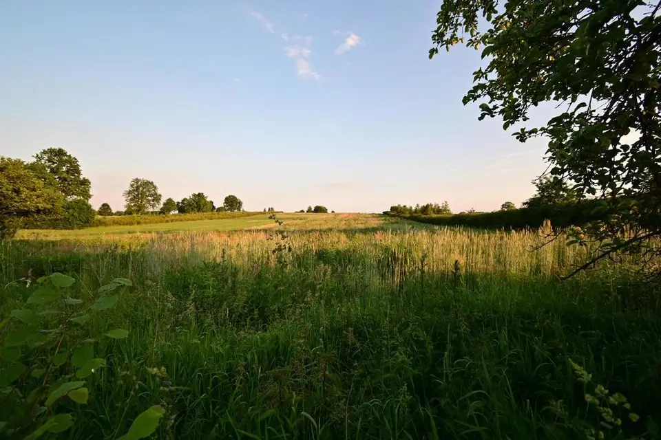 Działka budowlana 5 400 m², Panieńszczyzna