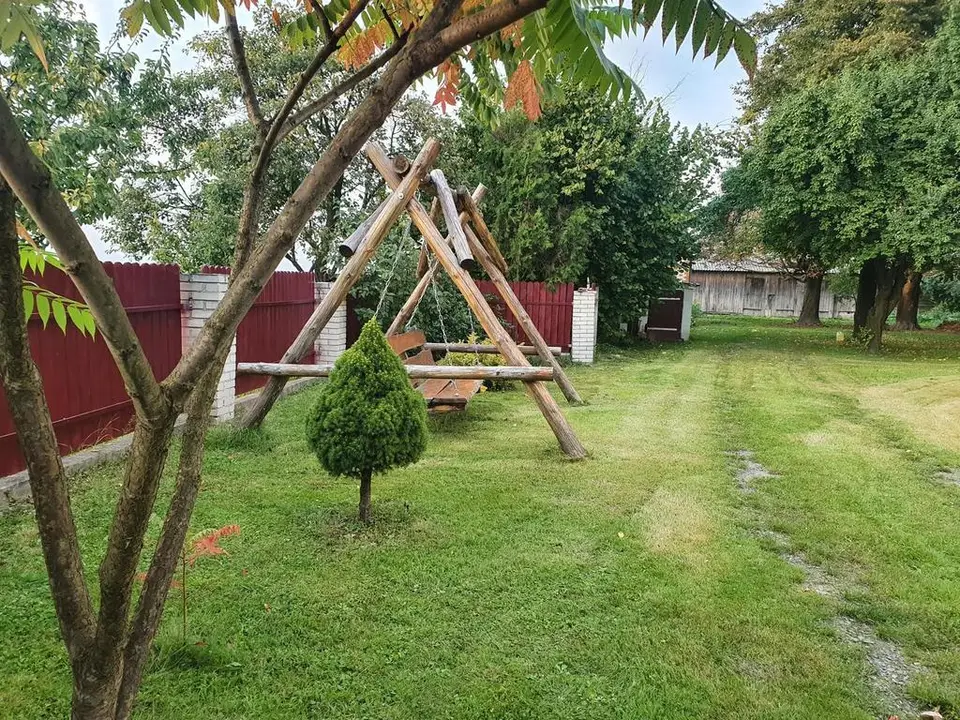 Zdjęcie 5