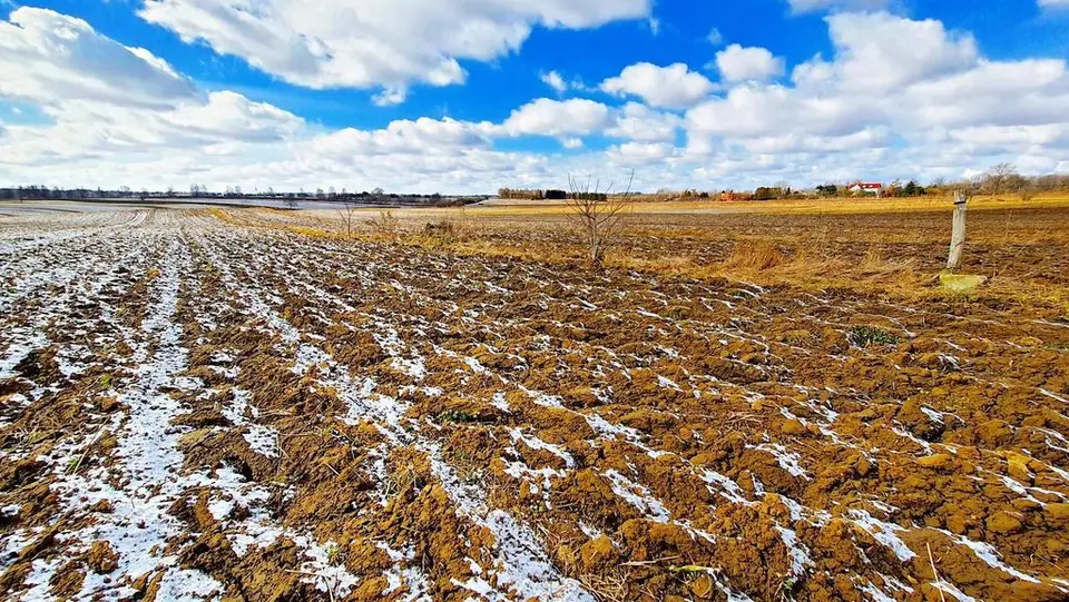 Działka budowlana 3 500 m², Płouszowice-Kolonia
