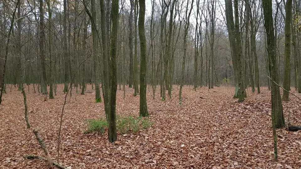 Działka budowlana 5 800 m², Samoklęski