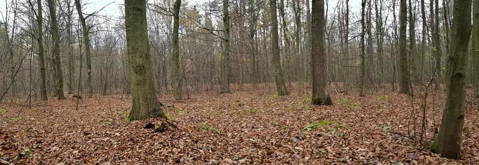 Zdjęcie 3