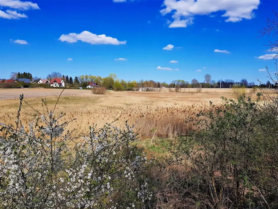 Działka budowlana 5 000 m², Miłocin