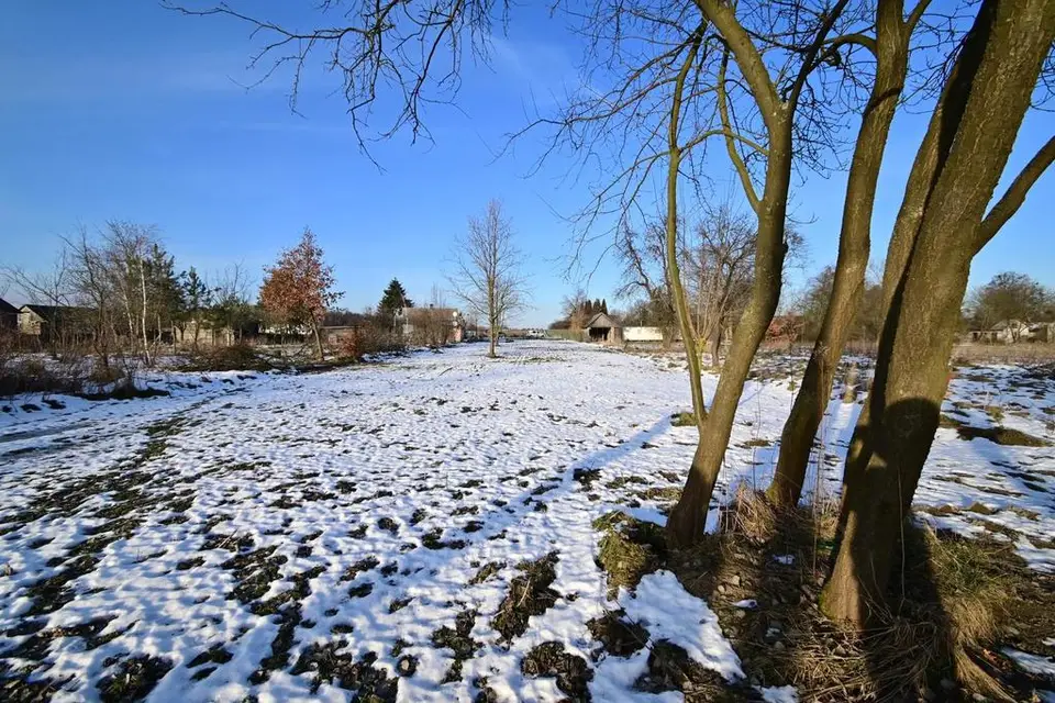 Zdjęcie 8