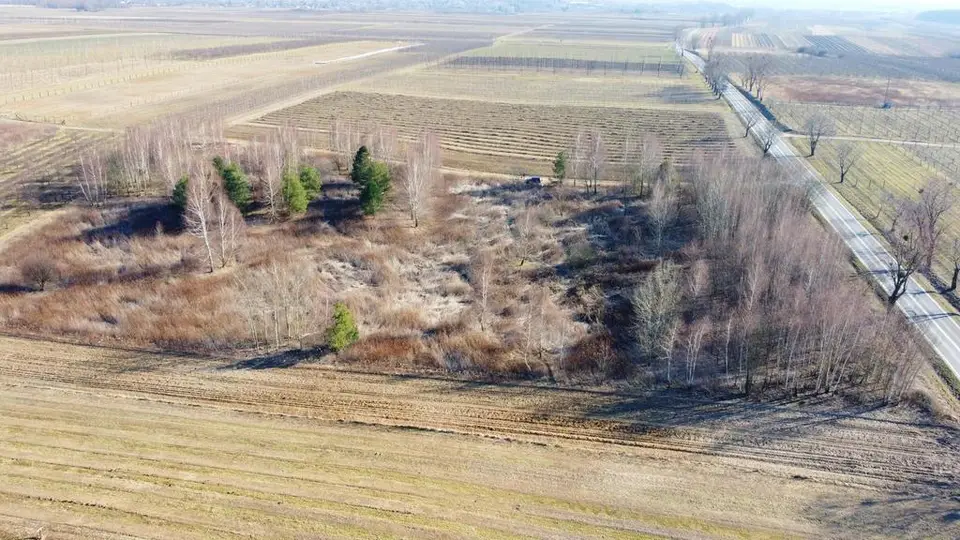 Działka rekreacyjna 1,74 ha, Karczmiska Pierwsze