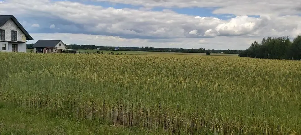 Działka budowlana 3 000 m², Starościn