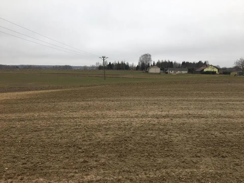 Działka rolna 3 000 m², Tomaszowice
