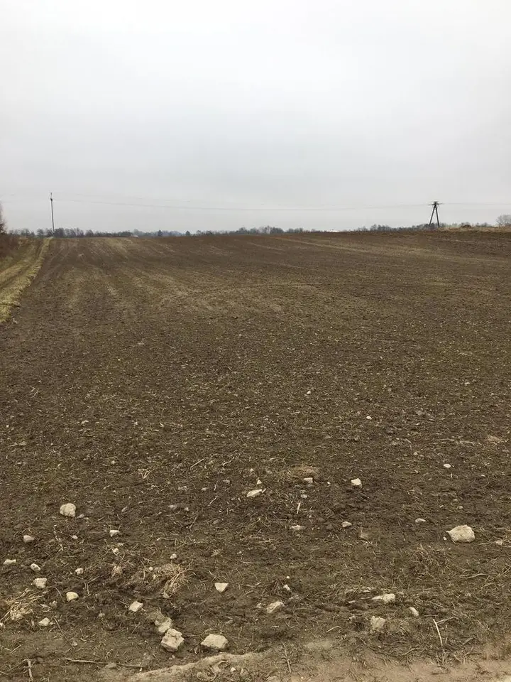 Zdjęcie 3