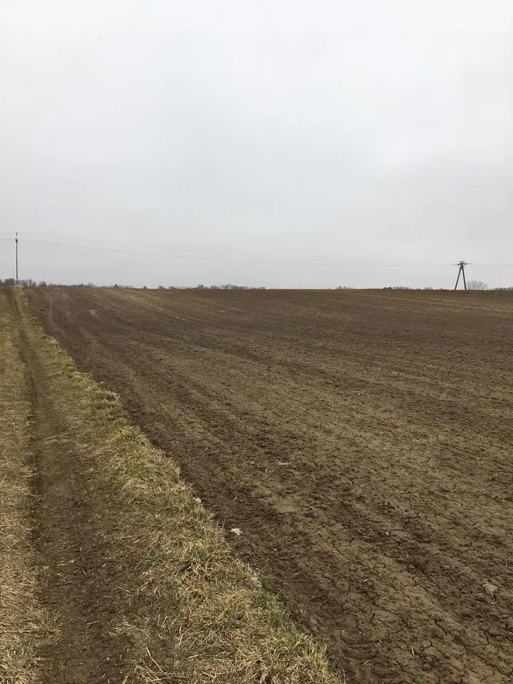 Zdjęcie 4