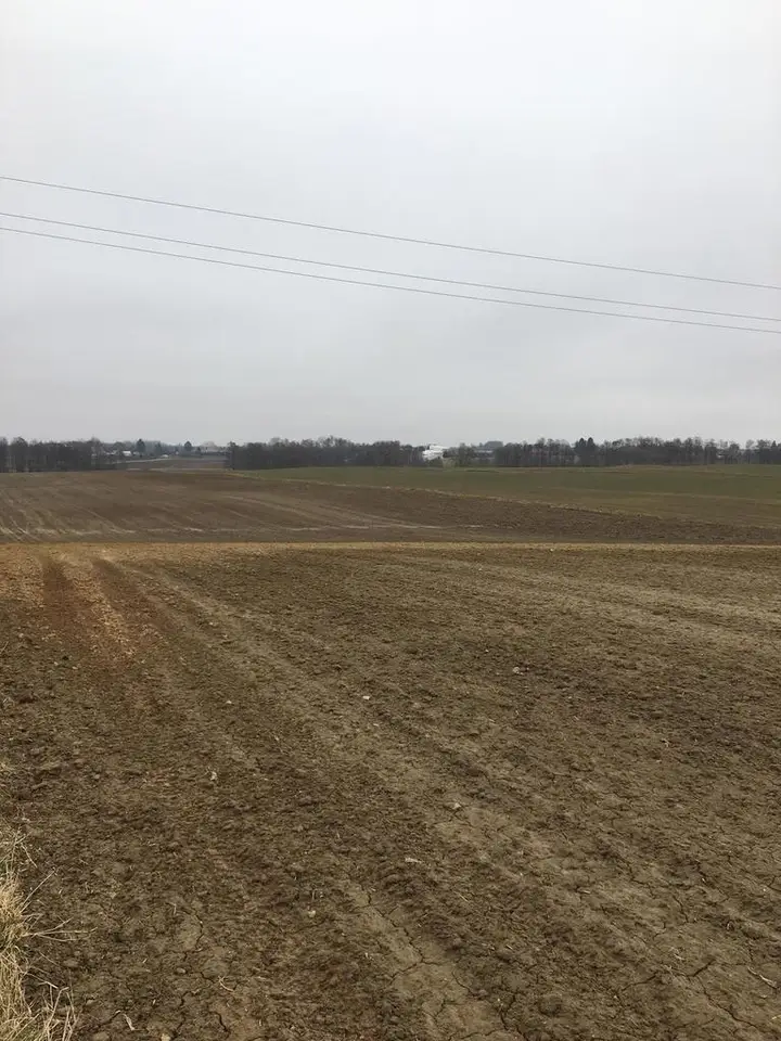 Zdjęcie 6