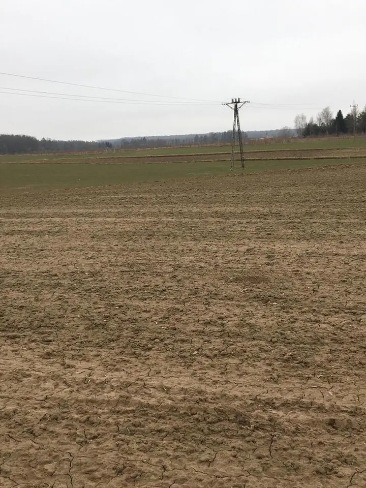 Zdjęcie 8