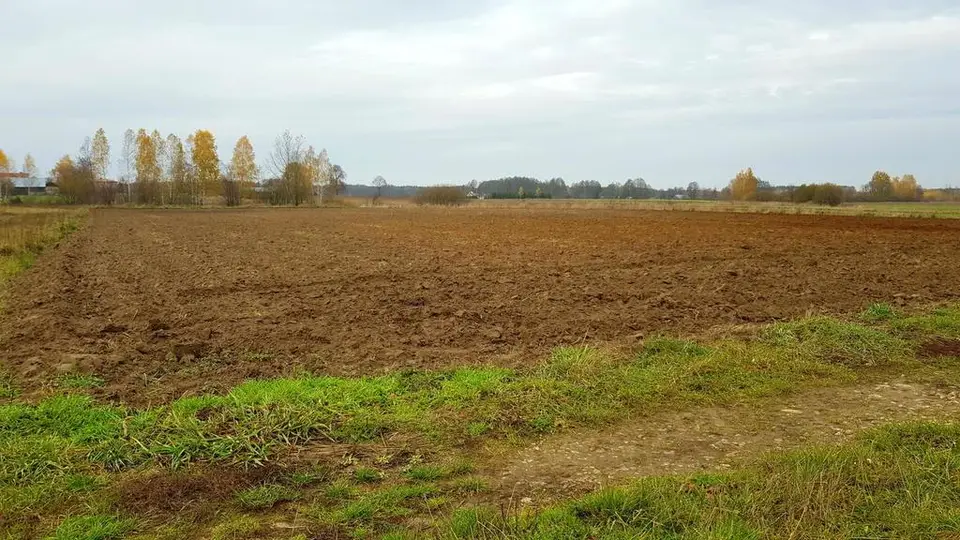 Działka rolna 5 500 m², Samoklęski